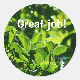 Sticker Rond Rafraîchir les feuilles verts grand professeur d'e