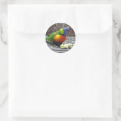 Sticker Rond Rainbow Lorikeet (Sac)