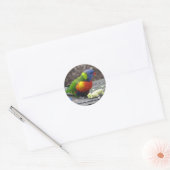 Sticker Rond Rainbow Lorikeet (Enveloppe)