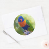 Sticker Rond Rainbow Lorikeet (Enveloppe)