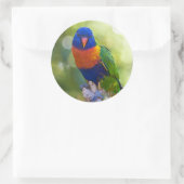 Sticker Rond Rainbow Lorikeet (Sac)