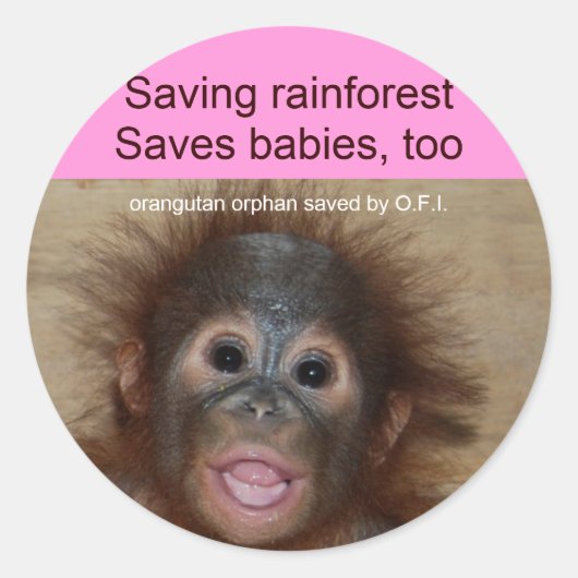 Sticker Rond Rainforest Baby Orangutan (Devant)