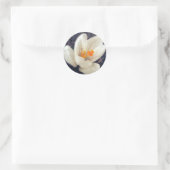 Sticker Rond Rainy Day Crocus (Sac)