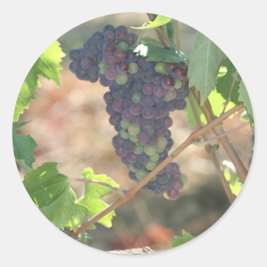Sticker Rond Raisins (Devant)