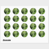 Sticker Rond Raisins (Feuille)