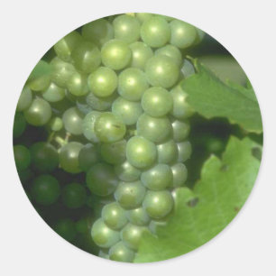 Sticker Rond Raisins