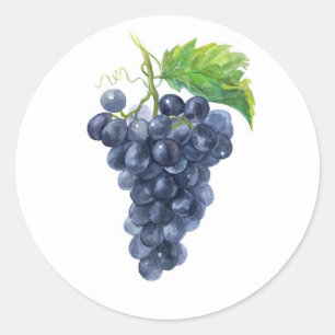 Sticker Rond Raisins noirs bleus – Art de vignoble à l'aquarell
