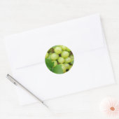 Sticker Rond Raisins verts (Enveloppe)