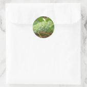 Sticker Rond Raisins verts de Californie (Sac)