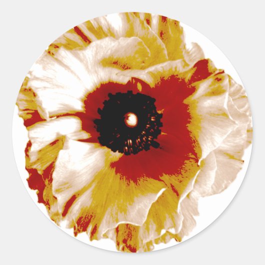 Sticker Rond ranunculus orange vif et blanc (Devant)