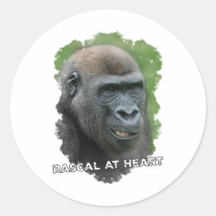 Sticker Rond Rascal au coeur