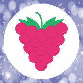 Sticker Rond Raspberry Pink Fruit Berry