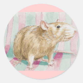 Sticker Rond rat