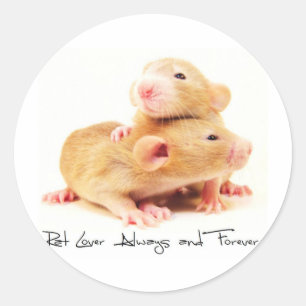Sticker Rond Rat Lover Toujours et toujours