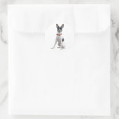 Sticker Rond Rat Terrier (A) (Sac)