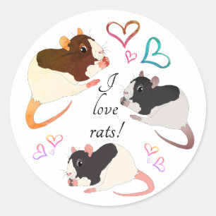 Sticker Rond Rats fantaisistes et Coeurs arc-en-ciel