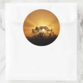 Sticker Rond rayons du soleil (Sac)