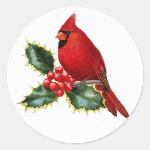 Sticker Rond Red Cardinal Bird et Holly Berry Noël