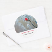 Sticker Rond Red Cardinal dans Winter Nature Photo de Christmas (Enveloppe)
