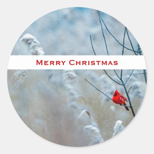Sticker Rond Red Cardinal dans Winter Nature Photo de Christmas (Devant)