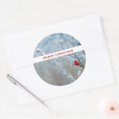 Sticker Rond Red Cardinal dans Winter Nature Photo de Christmas (Enveloppe)
