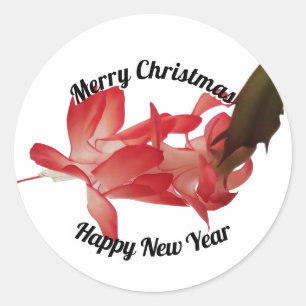 Sticker Rond Red Christmas Cactus Floral Photo Joyeux Noël