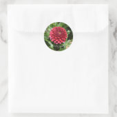 Sticker Rond Red Dahlia (Sac)