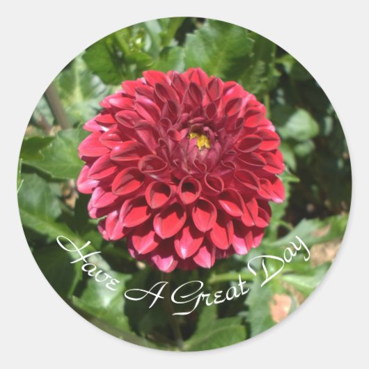 Sticker Rond Red Dahlia (Devant)