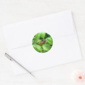 Sticker Rond Red Eyed Cicada (Enveloppe)
