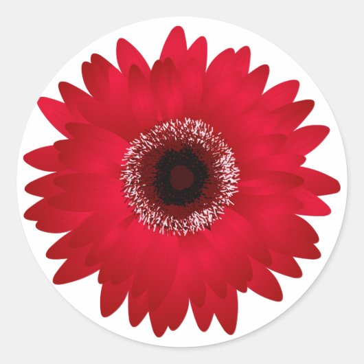 Sticker Rond Red Gerbera Daisy (Devant)