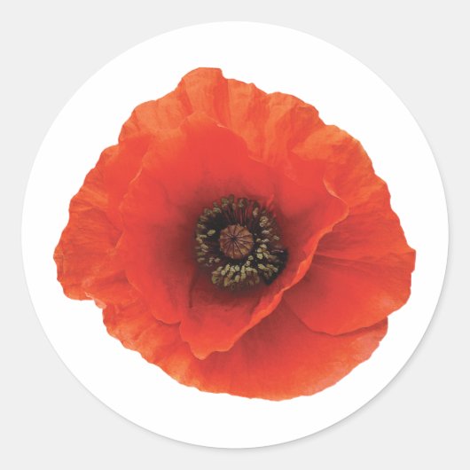 Sticker Rond Red Poppy (Devant)