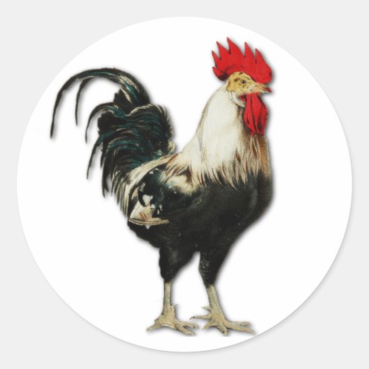 Sticker Rond Red Rooster Chicken (Devant)