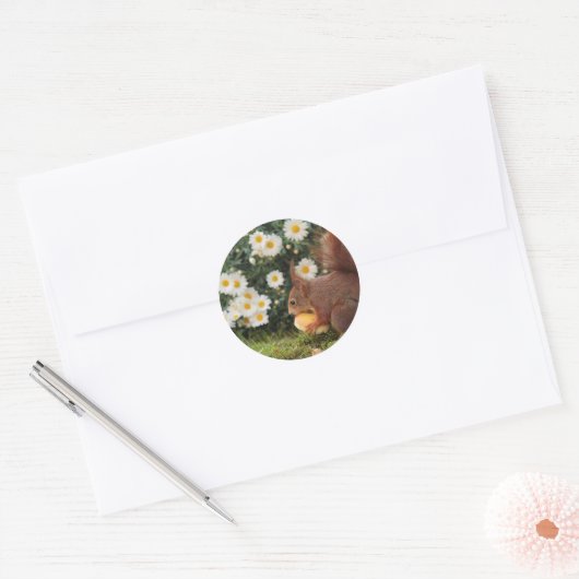 Sticker Rond Red Squirrel and Daisies Cute Photo (Enveloppe)