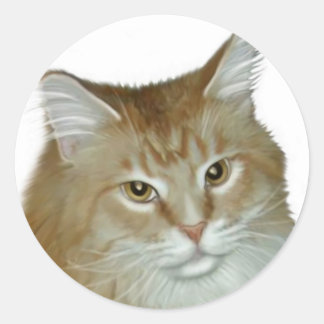 Sticker Rond Red Tabby Maine Coon