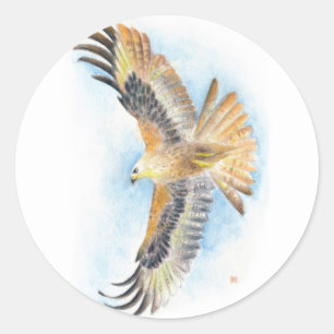 Sticker Rond Red Tail Hawk Art