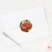Sticker Rond Red Torch Ginger Tropical Flower Photographie (Enveloppe)