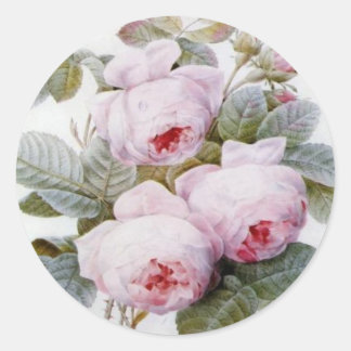 Sticker rond Redoute Rose Roses