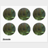 Sticker Rond Redwoods Dans Le Parc National De Muir Woods (Feuille)