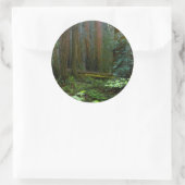 Sticker Rond Redwoods Dans Le Parc National De Muir Woods (Sac)