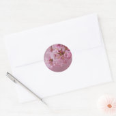 Sticker Rond Reflets Rose Pâle des Fleurs de Cerisier Sakura (Enveloppe)