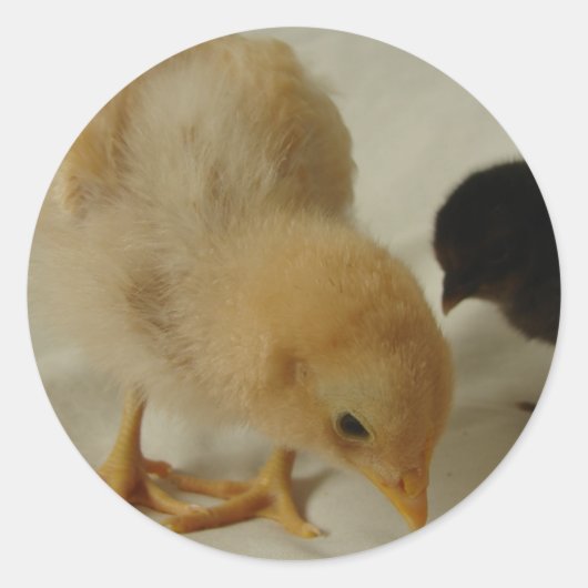 Sticker Rond Refroidissement (Devant)