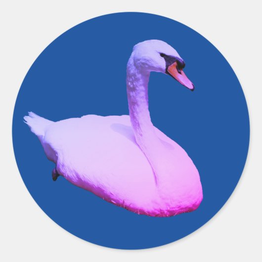 Sticker Rond Regal Swan Animaux de la faune (Devant)