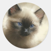 Sticker Rond Regard D'Innocence Siamese Kitten Portrait (Devant)