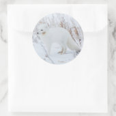 Sticker Rond Renard arctique (Sac)