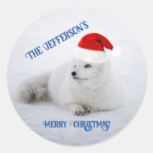 Sticker Rond Renard arctique blanc mignon dans la neige