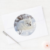 Sticker Rond Renard arctique en hiver (Enveloppe)