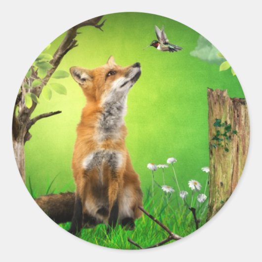 Sticker Rond renard et colibri (Devant)