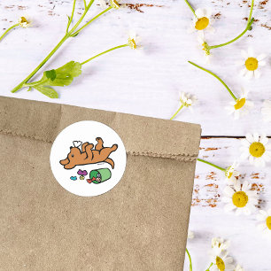 Sticker Rond Renard malicieux rouge Labrador côté oeil