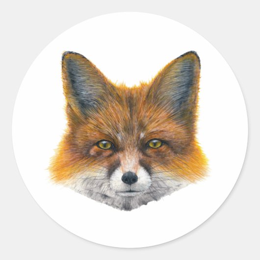 Sticker Rond Renard - Peinture en acrylique (Devant)