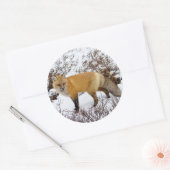 Sticker Rond Renard rouge dans la neige en hiver (Enveloppe)
